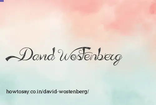 David Wostenberg