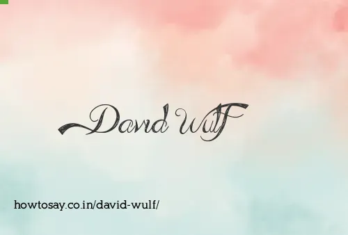 David Wulf