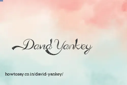 David Yankey