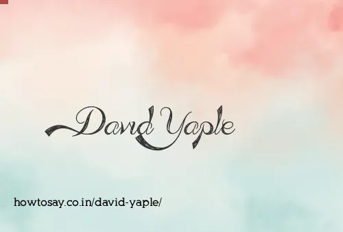 David Yaple