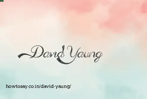 David Yaung