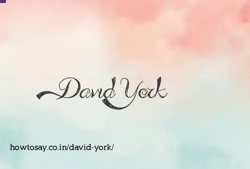 David York