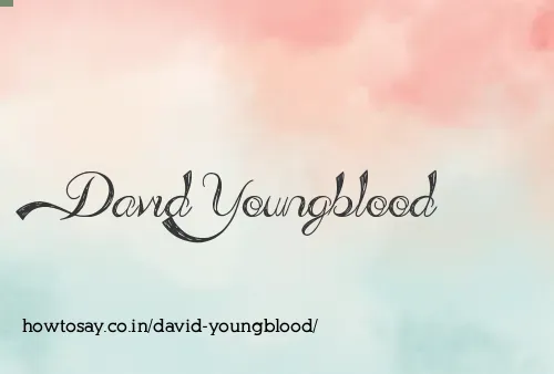 David Youngblood