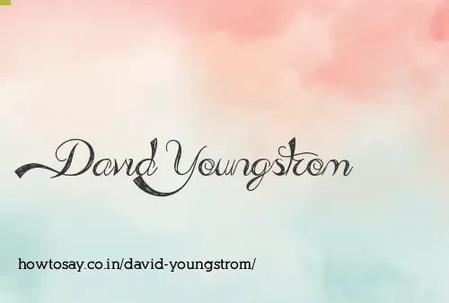 David Youngstrom