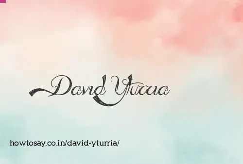 David Yturria