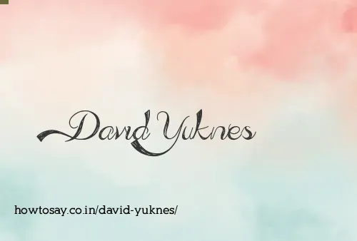 David Yuknes