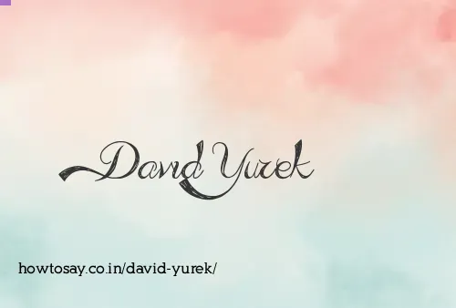 David Yurek