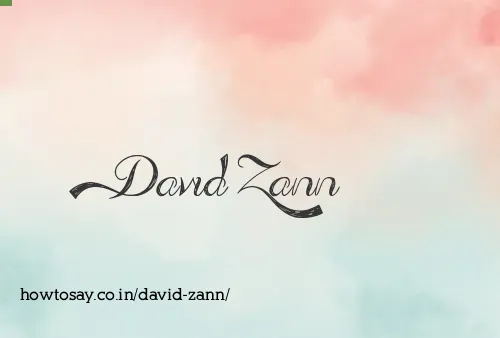 David Zann