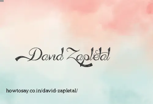 David Zapletal