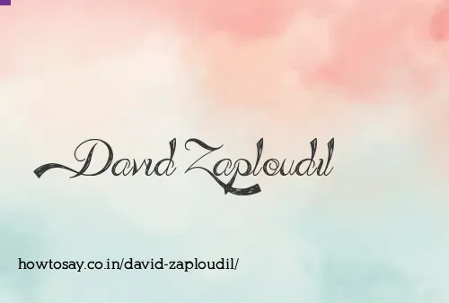 David Zaploudil