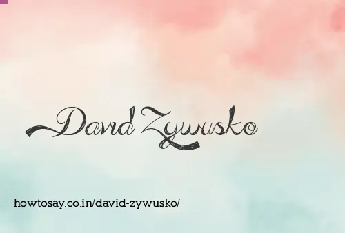 David Zywusko
