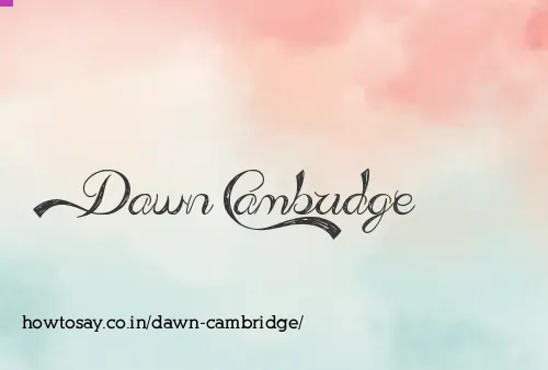 Dawn Cambridge