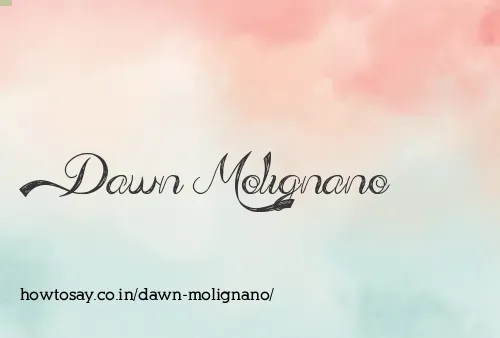 Dawn Molignano