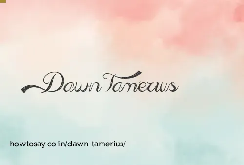 Dawn Tamerius