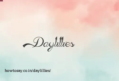 Daylillies