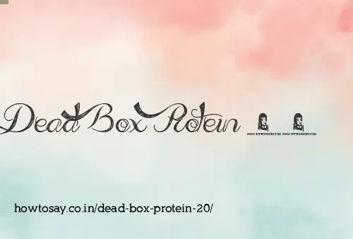 Dead Box Protein 20