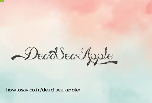 Dead Sea Apple