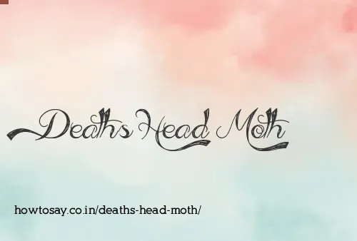 Deaths Head Moth