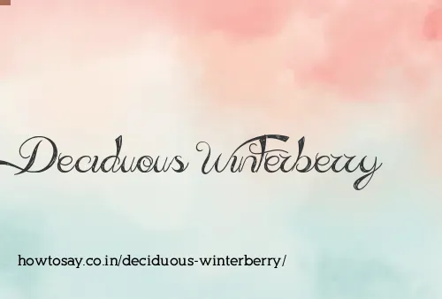Deciduous Winterberry