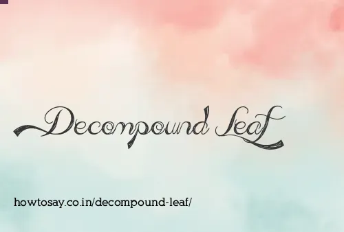 Decompound Leaf