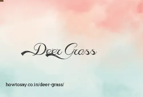 Deer Grass