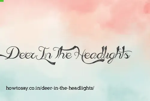 Deer In The Headlights