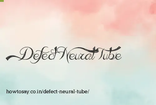 Defect Neural Tube