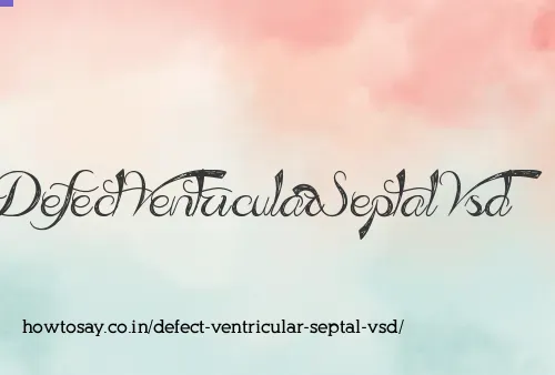 Defect Ventricular Septal Vsd