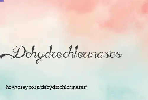 Dehydrochlorinases