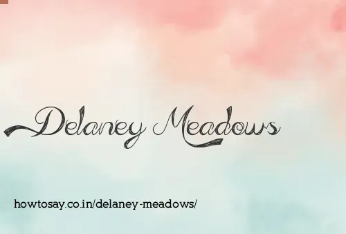 Delaney Meadows