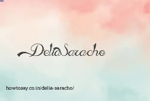 Delia Saracho