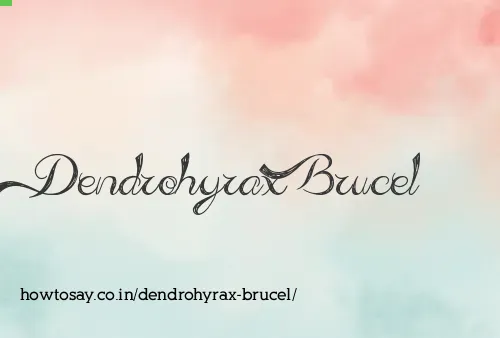 Dendrohyrax Brucel