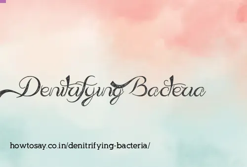 Denitrifying Bacteria