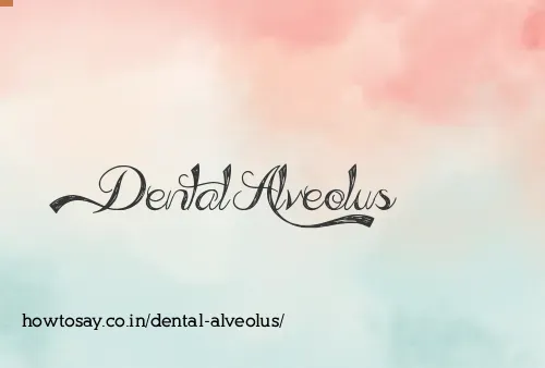 Dental Alveolus