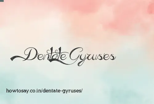 Dentate Gyruses