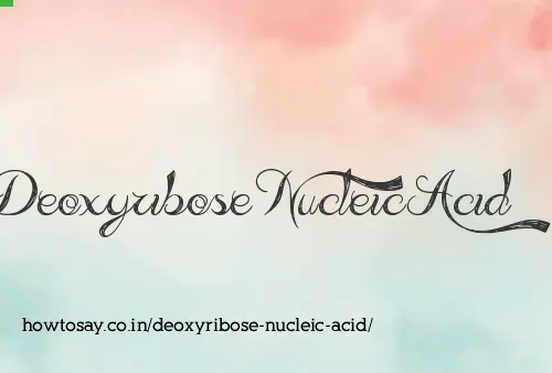 Deoxyribose Nucleic Acid