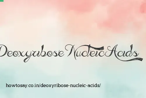 Deoxyribose Nucleic Acids