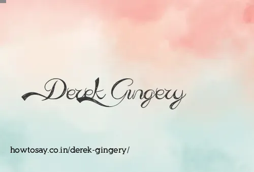 Derek Gingery