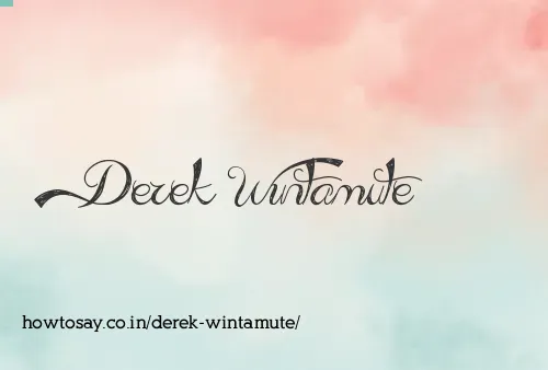 Derek Wintamute