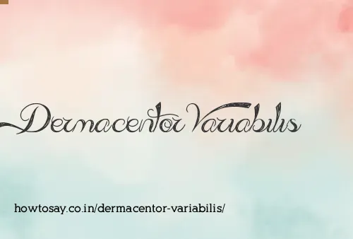 Dermacentor Variabilis