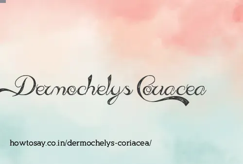 Dermochelys Coriacea