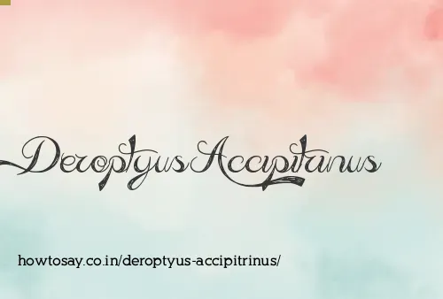 Deroptyus Accipitrinus