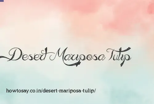 Desert Mariposa Tulip