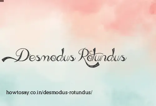 Desmodus Rotundus