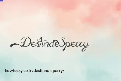 Destinae Sperry