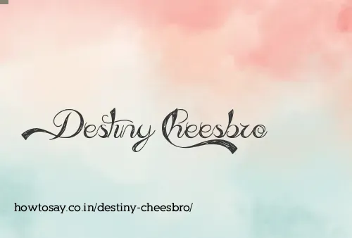 Destiny Cheesbro