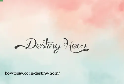 Destiny Horn