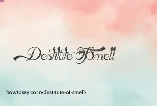 Destitute Of Smell