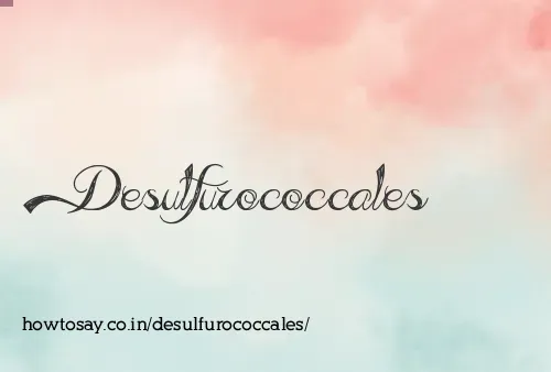 Desulfurococcales