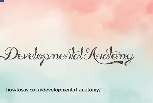 Developmental Anatomy